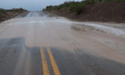Alerta en Ruta Nacional 40 por fuertes vientos y lluvias en Ullum