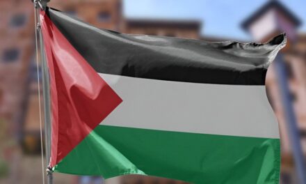 Palestina insta a la comunidad internacional adoptar la Declaración de Nueva York por la paz