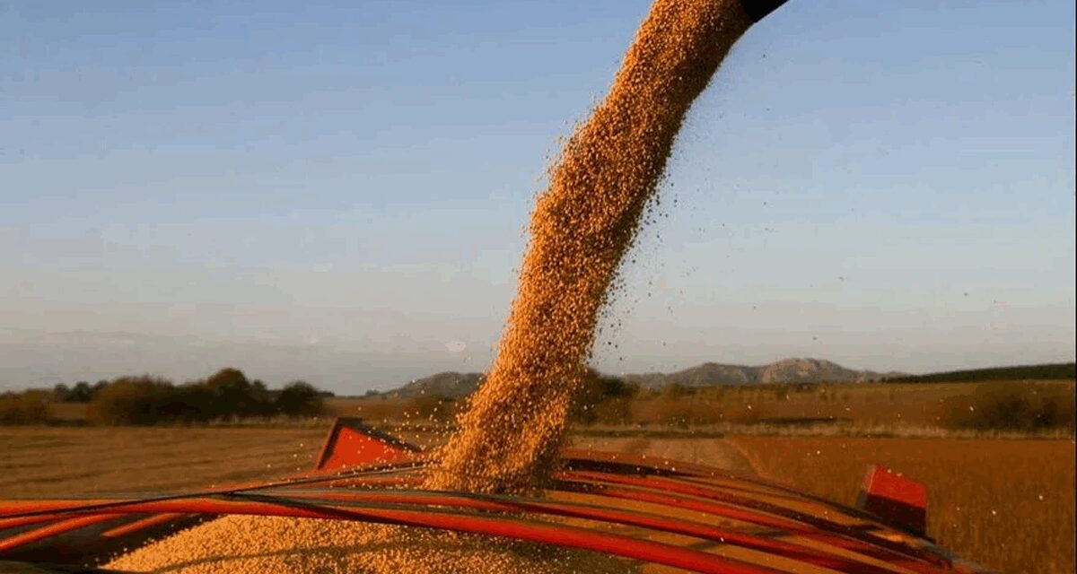 Marcos Pereda: «Era claro que era una medida exclusivamente recaudatoria»