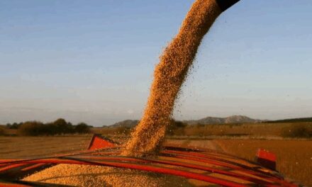 Marcos Pereda: «Era claro que era una medida exclusivamente recaudatoria»