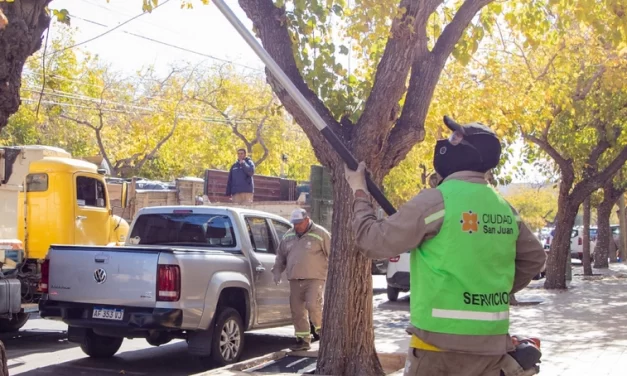 Operativo de poda y despeje de luminarias en distintos barrios de Capital