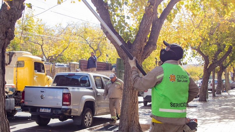 Operativo de poda y despeje de luminarias en distintos barrios de Capital