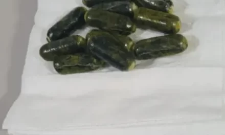 Detuvieron en Caucete a una mujer que llevaba más de un kilo de cocaína