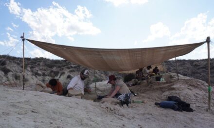 Todos los detalles de la campaña que buscará fósiles de dinosaurios en Río Negro