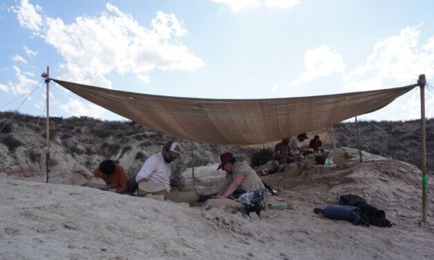 Todos los detalles de la campaña que buscará fósiles de dinosaurios en Río Negro