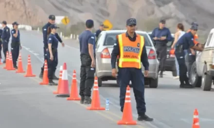 Gran operativo en Ruta 40: Dos detenidos por adulterar un vehículo en Sarmiento