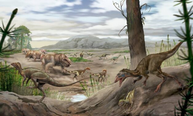 Descubren en San Juan uno de los dinosaurios más antiguos del planeta