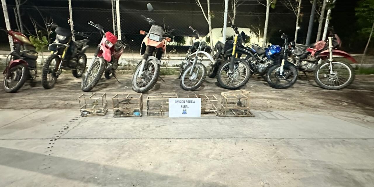 Investigaciones rurales: Motos adulteradas y caza ilegal en la mira (video)