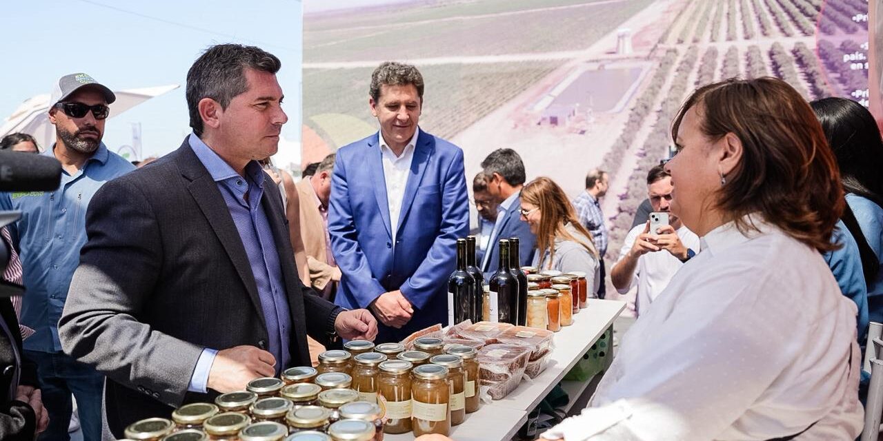 Expo Innova Cuyo 2025 abrió sus puertas con fuerte presencia del agro regional