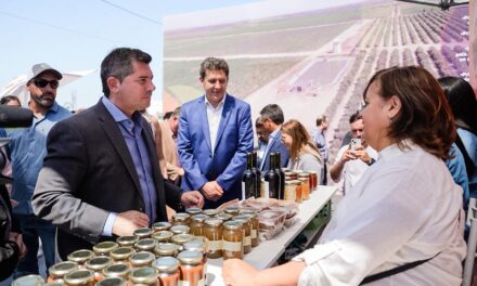 Expo Innova Cuyo 2025 abrió sus puertas con fuerte presencia del agro regional