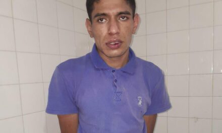 Detuvieron a un joven por robar un ventilador en Rawson