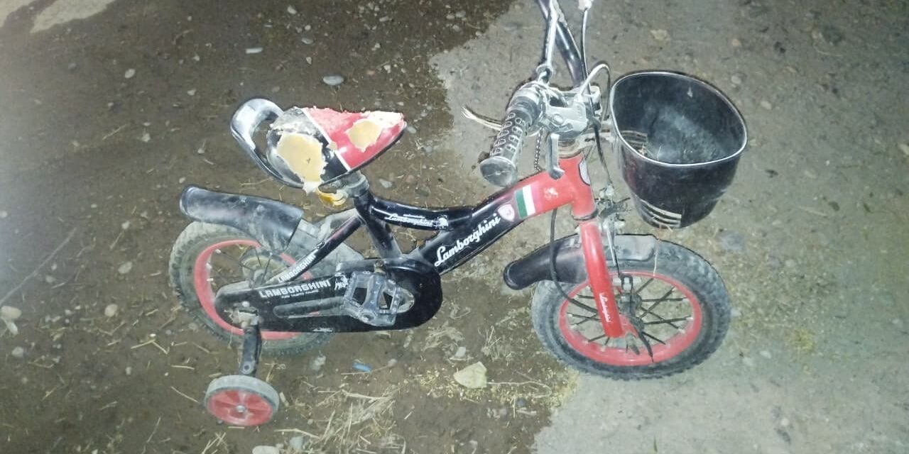 Frustran robo de bicicleta en Pocito: Dos menores detenidos
