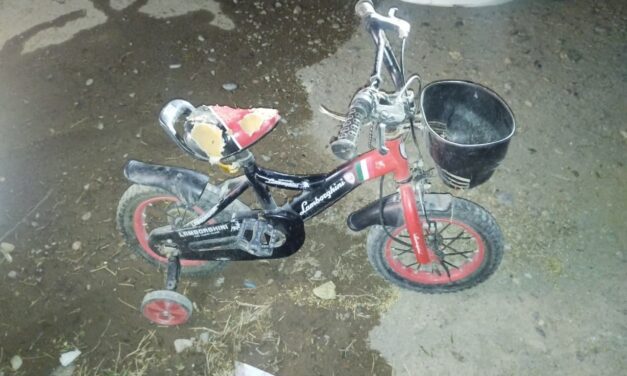 Frustran robo de bicicleta en Pocito: Dos menores detenidos