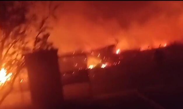 Incendio devastador en Pocito: Mirá los videos del fuego que arrasó con todo