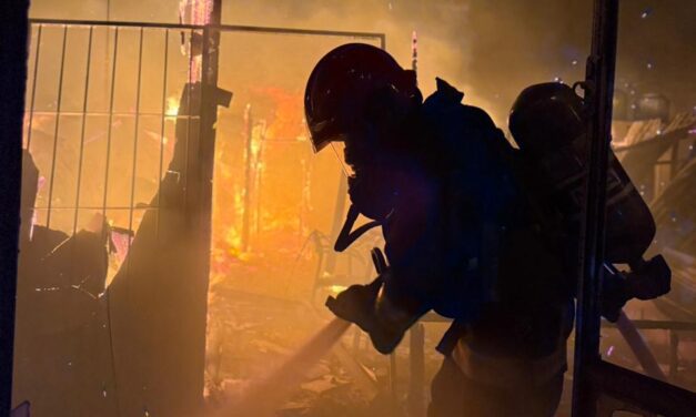 Así combatieron los bomberos los incendios provocados por el Zonda: Mirá los videos