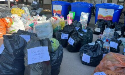 Marareciclón 2025: Deporte y conciencia ambiental en el Parque de Mayo