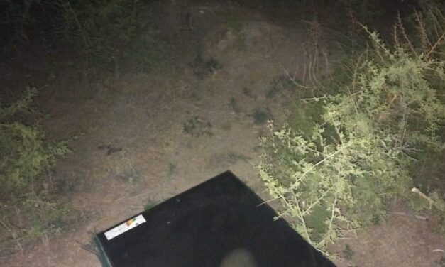 Un llamado al CISEM terminó con un hallazgo inesperado en Caucete