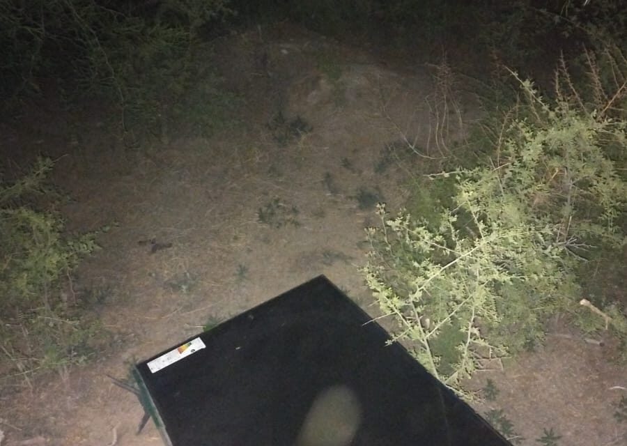 Un llamado al CISEM terminó con un hallazgo inesperado en Caucete