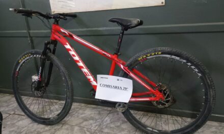 Cayeron tras robar una bicicleta y una cortadora de césped en Santa Lucía