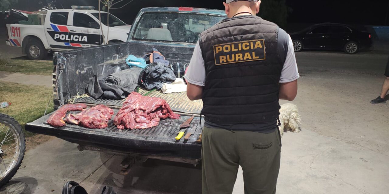 Los sorprendieron con 20 kilos de carne de guanaco