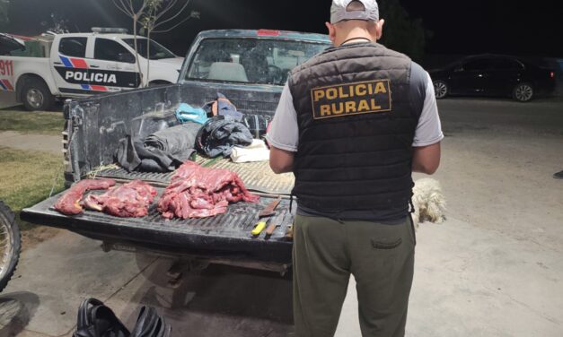 Los sorprendieron con 20 kilos de carne de guanaco