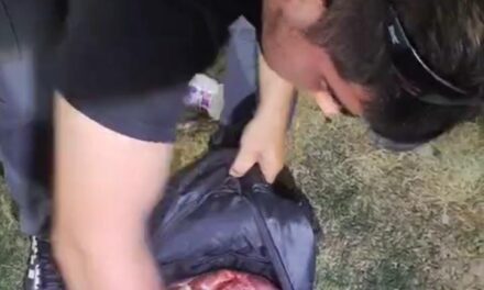 Secuestran carne de guanaco el Albardón: mirá el vídeo del operativo