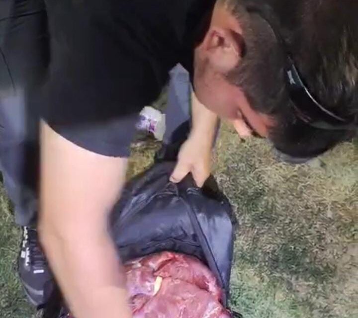 Secuestran carne de guanaco el Albardón: mirá el vídeo del operativo