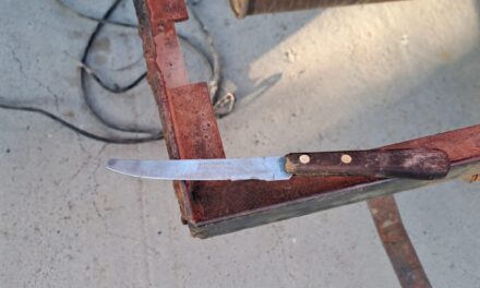 Intentó ingresar al ex Camping Foecyt