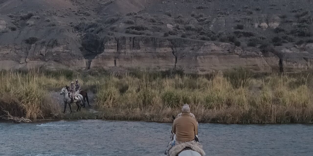 Caballos rescatados patrullan Albardón y Jáchal para prevenir delitos rurales