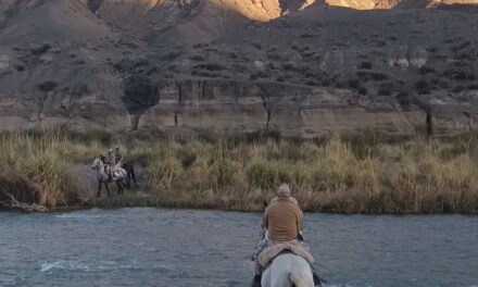 Caballos rescatados patrullan Albardón y Jáchal para prevenir delitos rurales