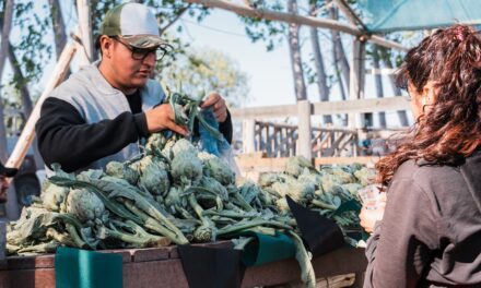 El Médano de Oro celebró una nueva edición de la Fiesta del Espárrago y el Alcaucil