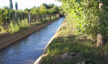 Policias salvaron una niña que cayó a un canal de riego en Santa Lucía