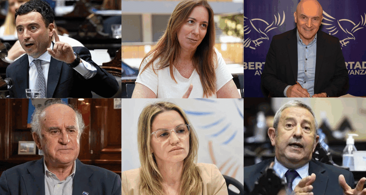 Qué referentes no continuarán en Diputados y el Senado