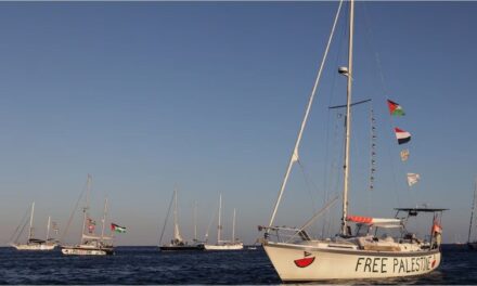 Hay argentinos entre los detenidos