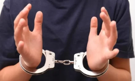 Jueza Camus: “No creo que los chicos de 13 años comprendan la criminalidad de sus actos”