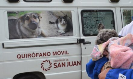 El Quirófano Móvil de Mascotas llega a 25 de Mayo: Castraciones y vacunaciones gratuitas en La Chimbera