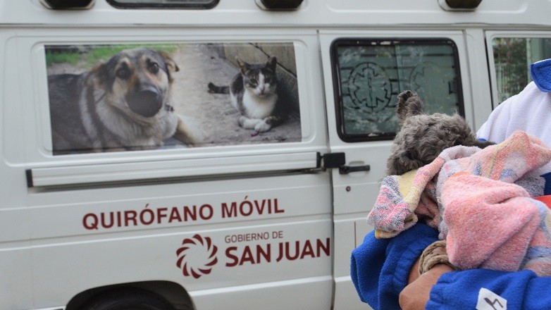 El Quirófano Móvil de Mascotas llega a 25 de Mayo: Castraciones y vacunaciones gratuitas en La Chimbera
