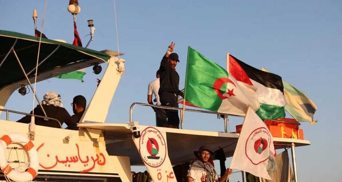 En medio de las marchas pro Palestina, llegan a Estambul 137 activistas deportados de la flotilla