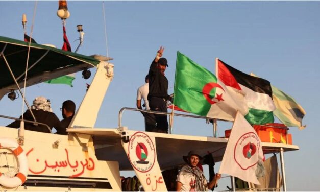 En medio de las marchas pro Palestina, llegan a Estambul 137 activistas deportados de la flotilla