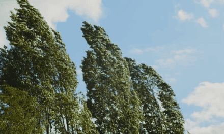 El viento dice presente: San Juan bajo alerta amarilla este domingo