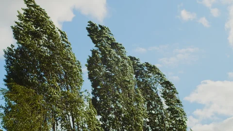 El viento dice presente: San Juan bajo alerta amarilla este domingo
