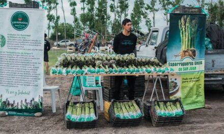 Médano de Oro se prepara para celebrar la Fiesta del Espárrago y el Alcaucil 2025