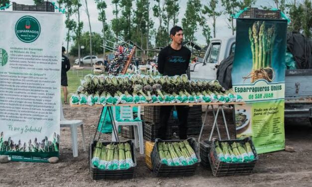 Médano de Oro se prepara para celebrar la Fiesta del Espárrago y el Alcaucil 2025