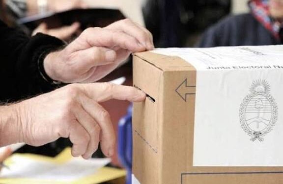 Fuerte participación en San Juan: 7 de cada 10 votaron