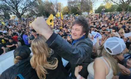Entre tuits, victorias autopercibidas y socios de la gobernabilidad