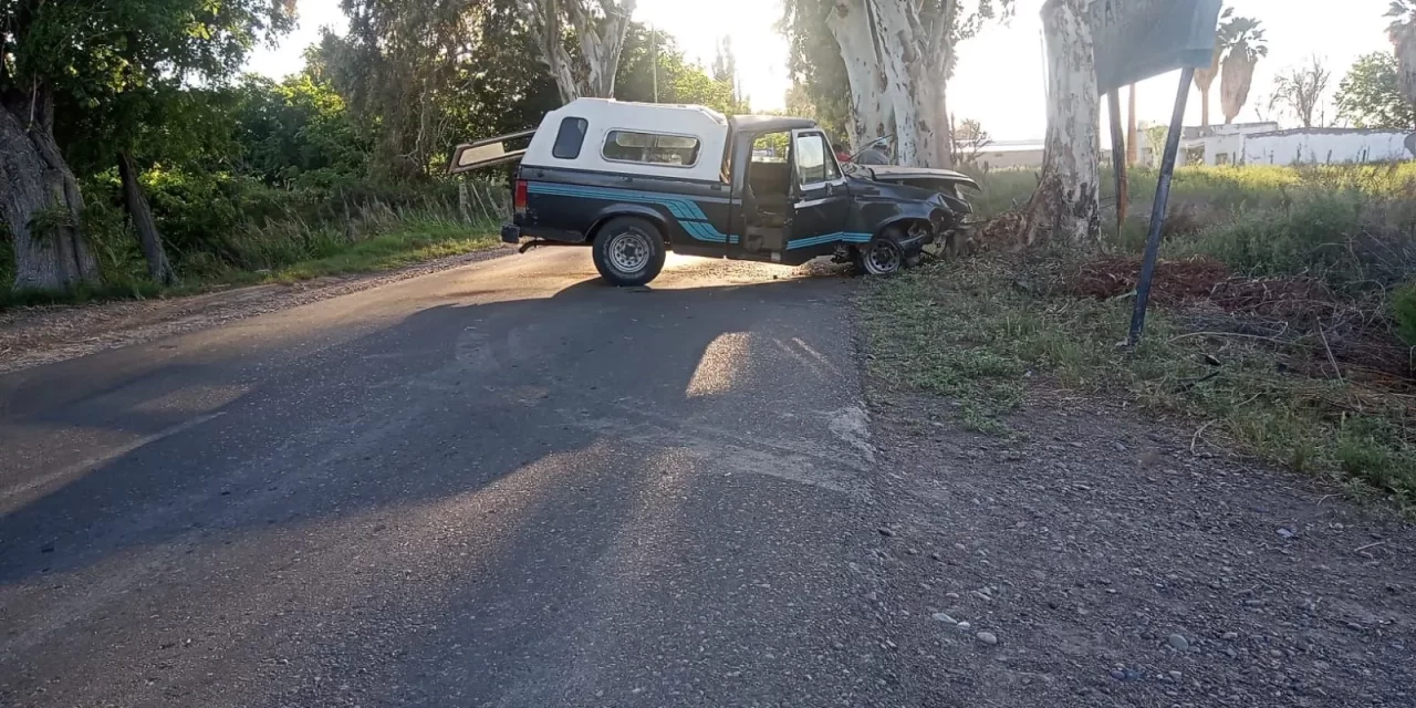 Conductor ebrio impacta contra un árbol en Angaco y deja a su acompañante herido