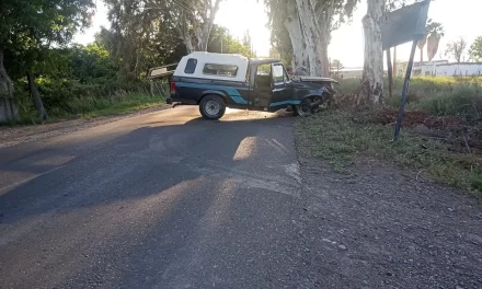 Conductor ebrio impacta contra un árbol en Angaco y deja a su acompañante herido