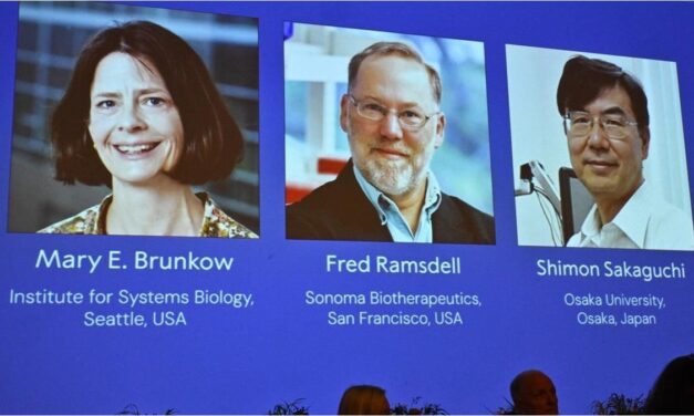 El premio Nobel de Medicina fue para tres científicos por sus investigaciones en inmunología