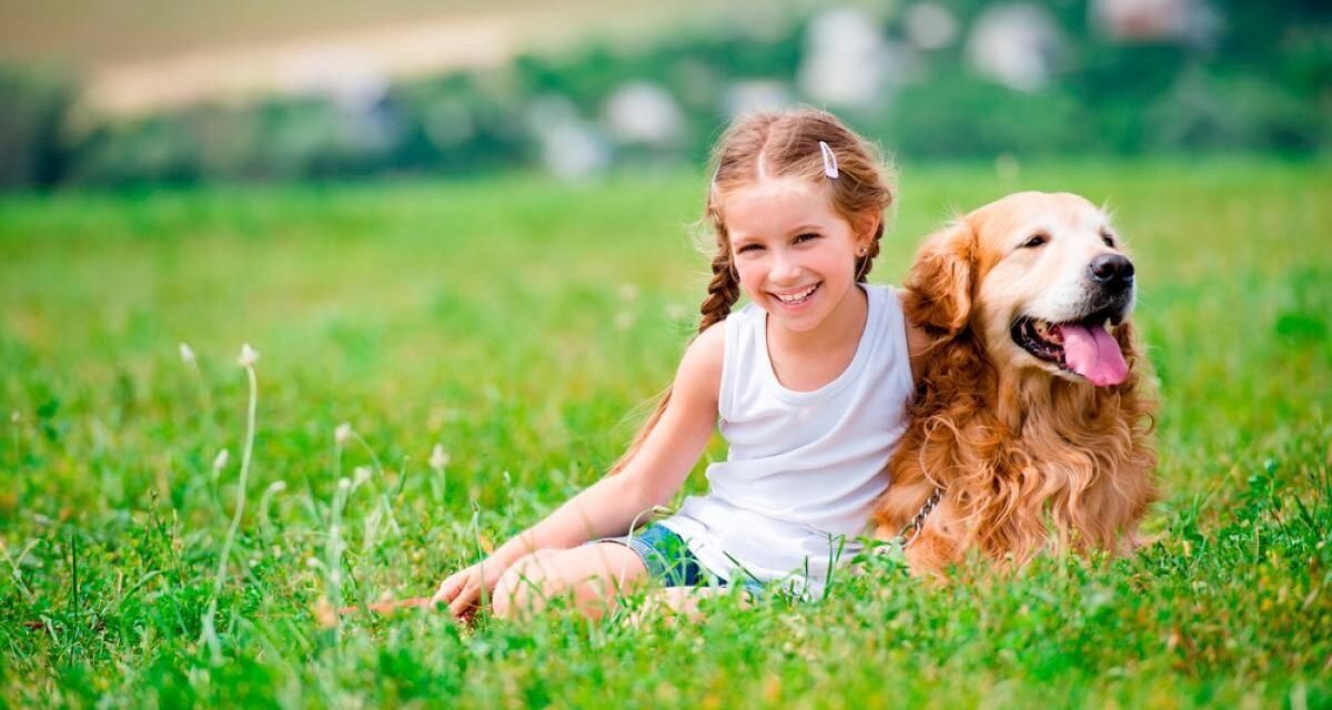 ¿Cómo sería el mundo si los perros hablaran? La IA responde esta gran duda