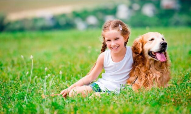 ¿Cómo sería el mundo si los perros hablaran? La IA responde esta gran duda